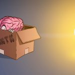 brain hiding in a box with sdi logo shining light on it
