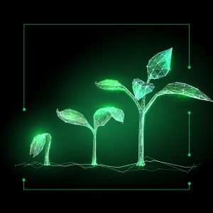 digital seedling sprouting into plant leadership development